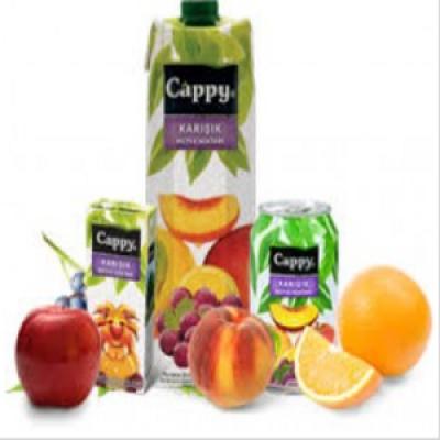 CAPPY ( ŞEFTALİ-VİŞNE-KAYISI-KARIŞIK)