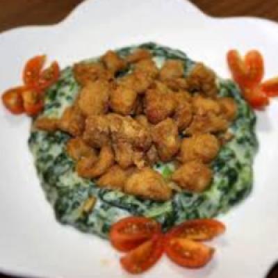 ISPANAK YATAĞINDA PİLİÇ